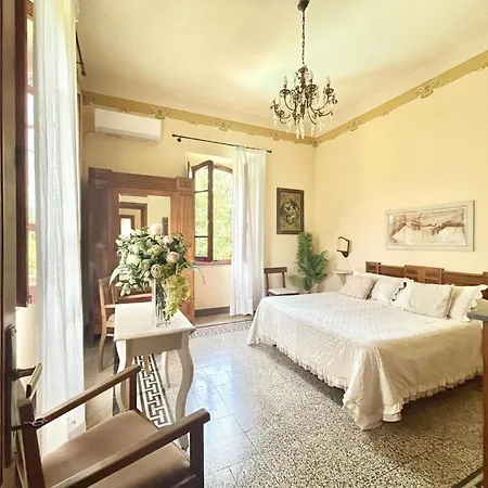 Primula Villa *