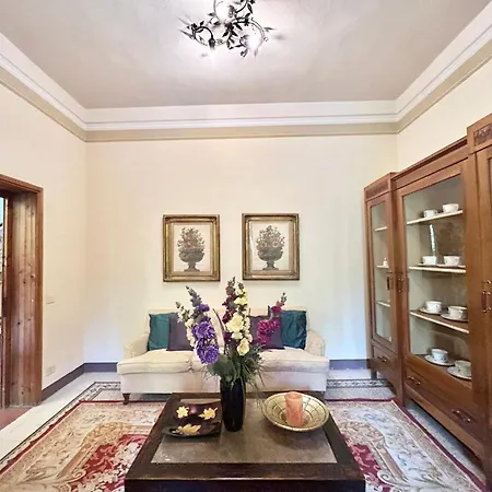 Primula Villa *